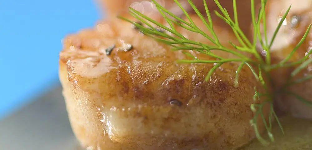 noix de saint jacques poelée accompagnée d'un filet d'huile d'olive