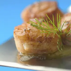 noix de saint jacques