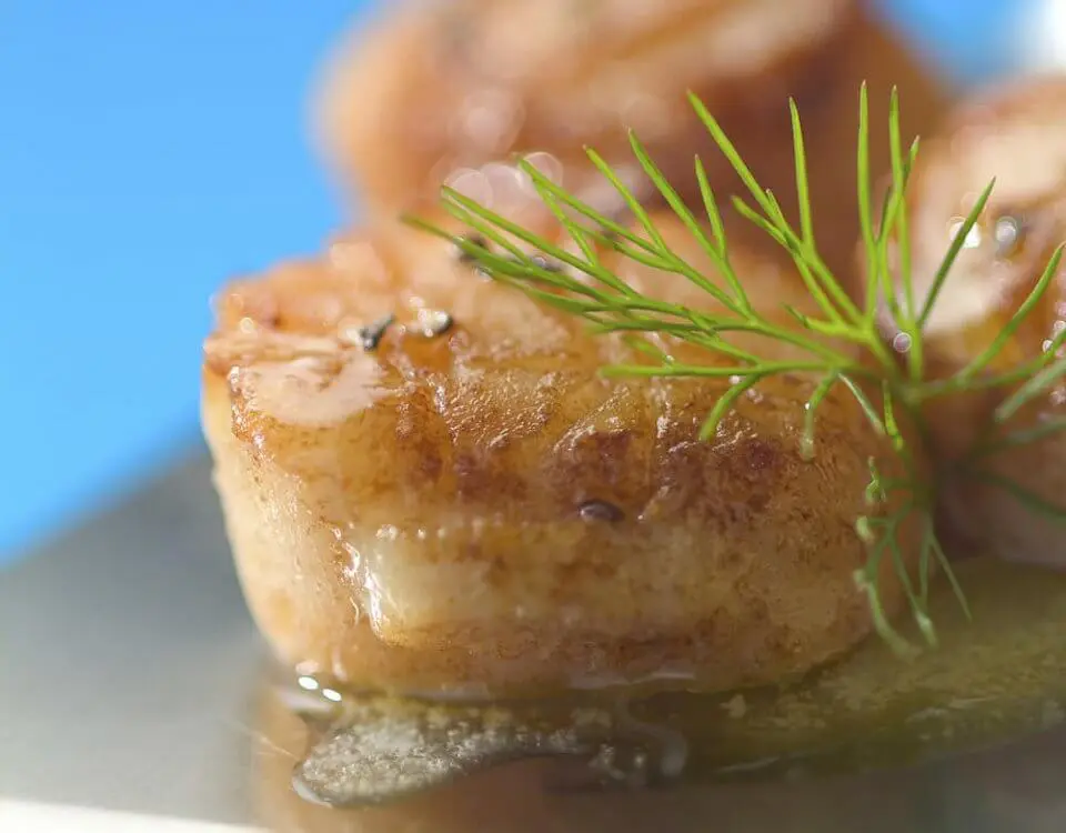 noix de saint jacques poelée accompagnée d'un filet d'huile d'olive